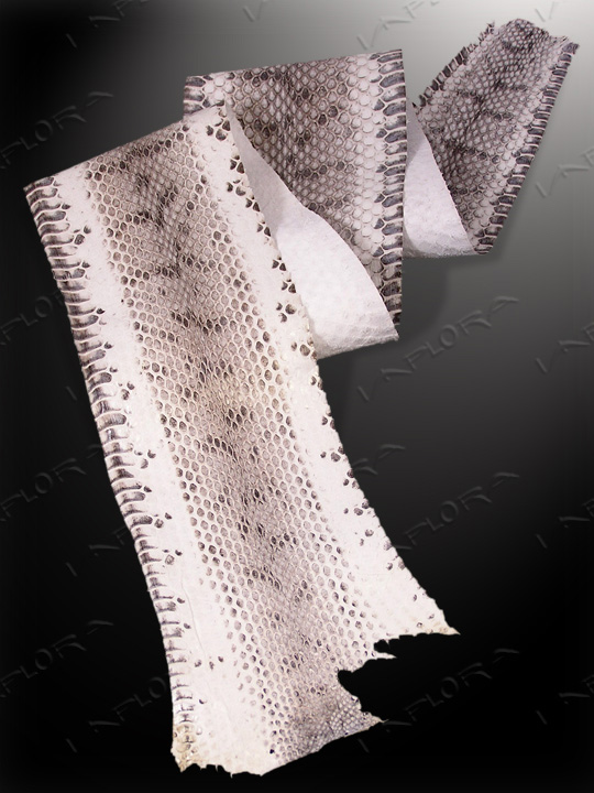 Snakeskins Implora Natural  Dog-Faced Snake Skin