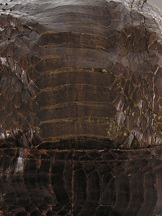 Dark Brown Cobra Snakeskin Doorag Head Wrap
