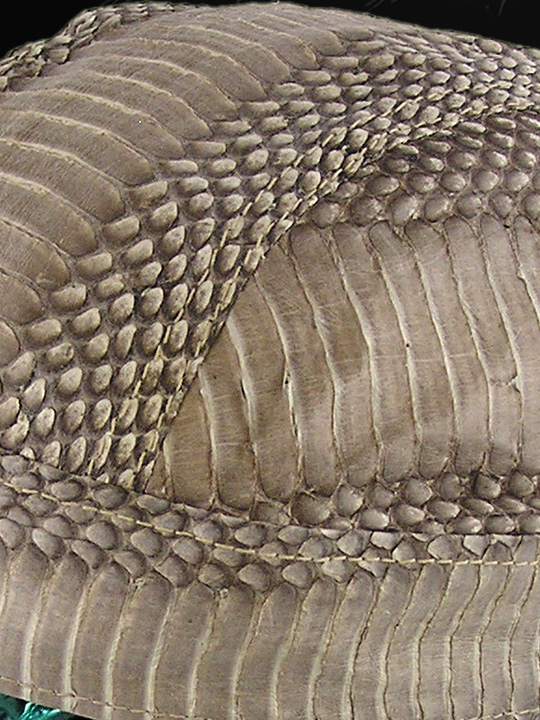 Natural Cobra Snakeskin Doorag Head Wrap