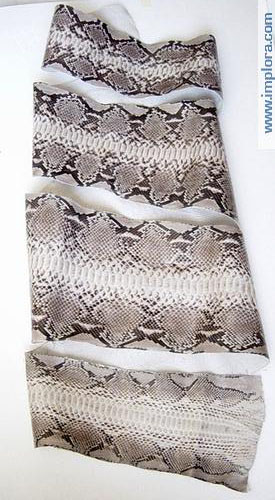 Leather Implora Natural Python Snakeskin Belly