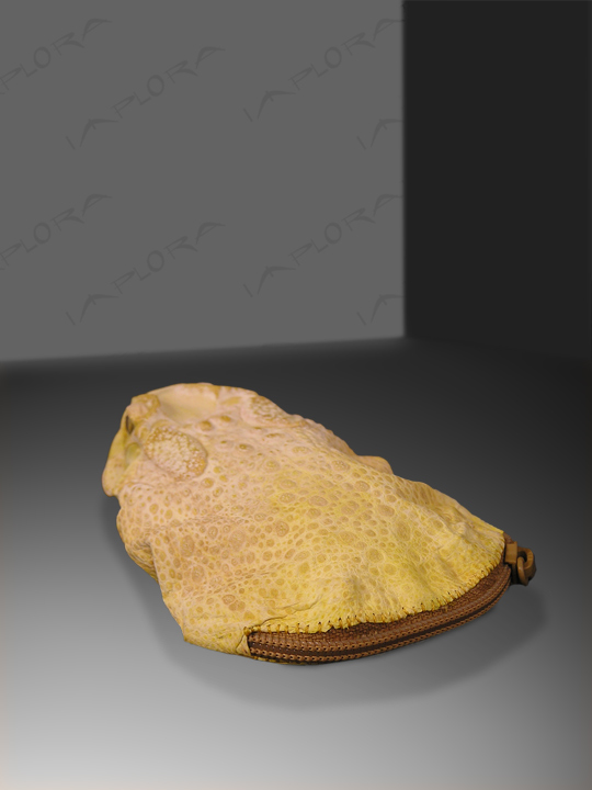 Implora Yellow Frog Skin Coin Pouch Wallet