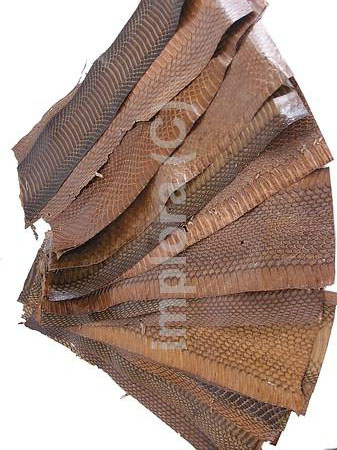 Snakeskins Mixed Brown Cobra Snake Skin Scraps