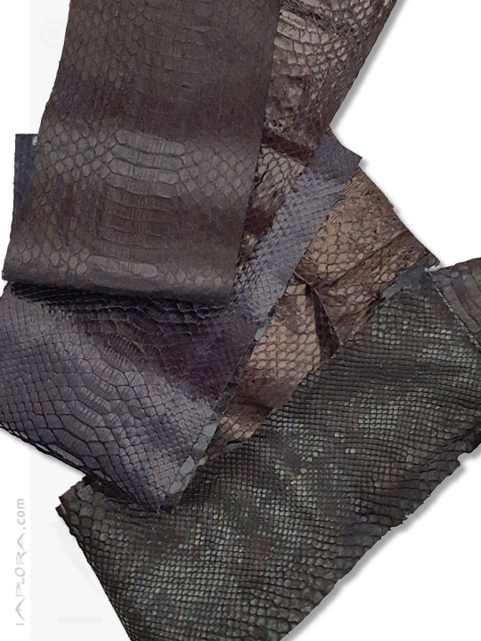 Snakeskins Snake Skin Scraps Pieces Assorted Black Dark Colors