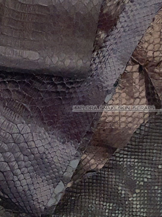 Snake Skin Scraps Pieces Assorted Black Dark Colors