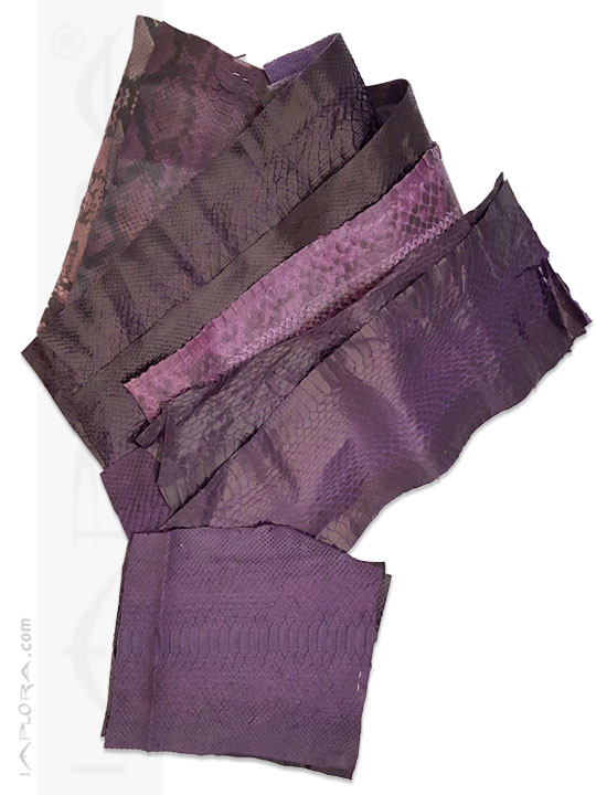 Snakeskins Snakeskin Scraps Purple Violet Assorted Color