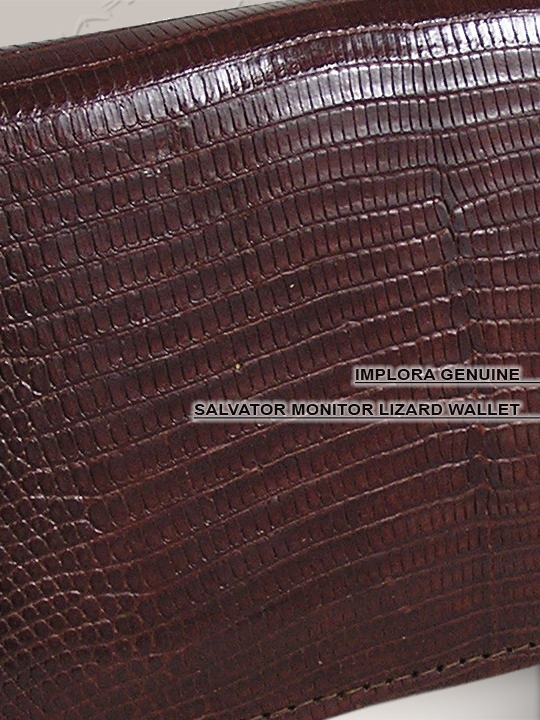 Implora Brown Monitor Lizard Checkbook Wallet, Bly