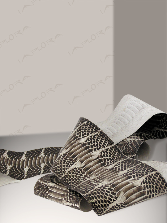 Snakeskins Implora Natural Mangrove Snake Skin Belly