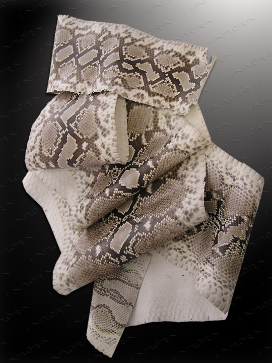 Snakeskins Implora Natural Python Snakeskin Large