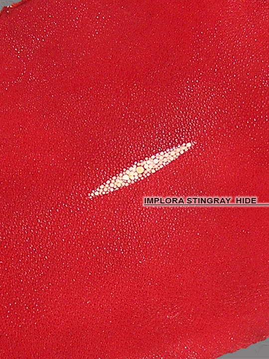 Implora Bright Red Stingray Leather