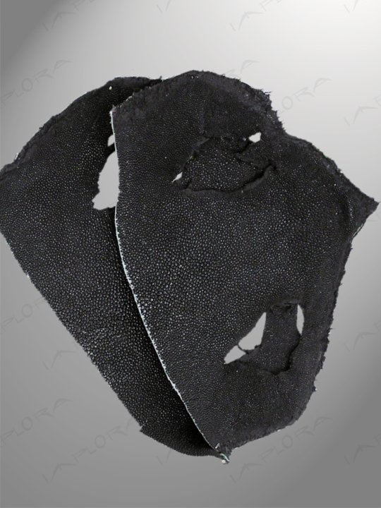 Leather Black Genuine Stingray Top Part Scraps (2 pcs)