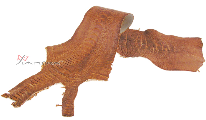Ostrich Leathers Implora Tan Ostrich Leg Skin