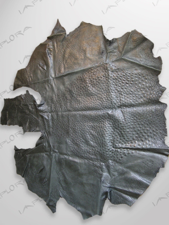 Leather Implora Ostrich Skin, Black, 63x64in