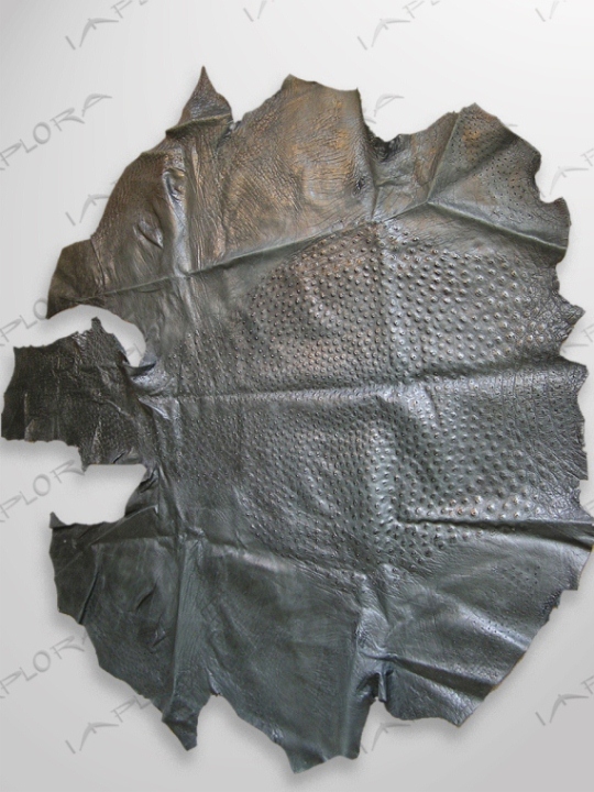 Ostrich Leathers Implora Ostrich Skin, Black, 63x64in