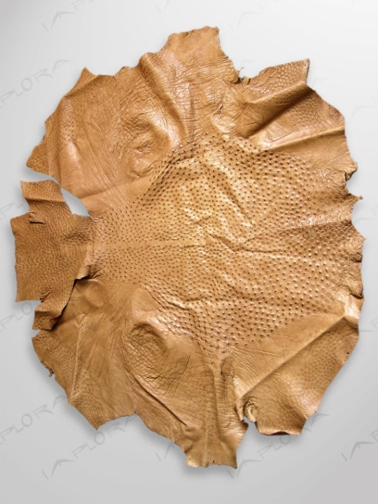 Ostrich Leathers Implora Ostrich Skin, Tan, 50x46 inches