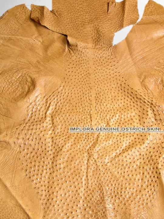 Implora Ostrich Skin, Tan, 50x46 inches