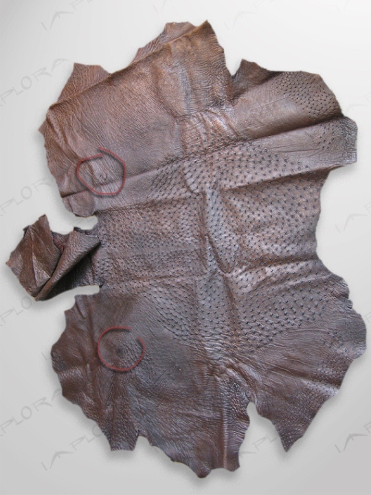 Leather Implora Ostrich Skin Dark Brown 68x58 in