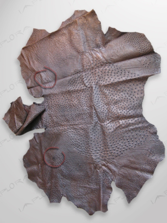 Ostrich Leathers Implora Ostrich Skin Dark Brown 68x58 in