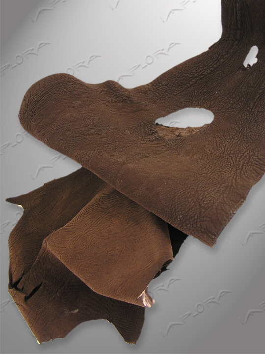 Shark Leathers Implora Brown Shark Skin Leather Hide