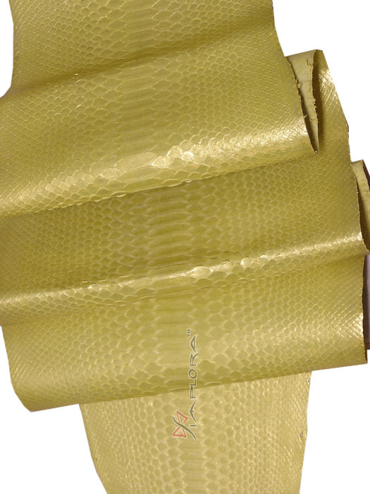 Snakeskins Solid Yellow Metallic Python Snakeskin Belly