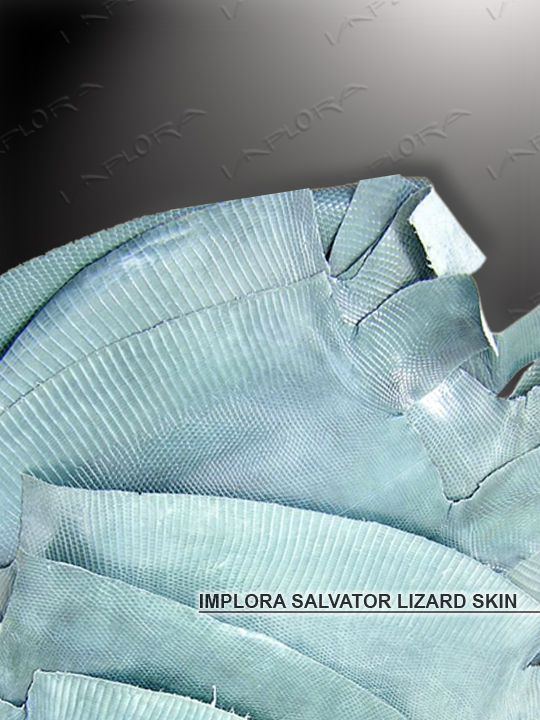 Implora Green Monitor Lizard Skin