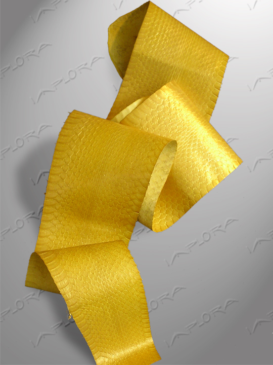 Snakeskins Implora Solid Gold Metallic Puff-Faced Snakeskin