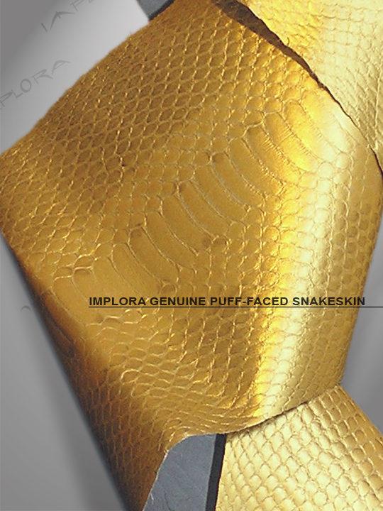 Implora Gold Metallic Puff-Faced Snakeskin Belly