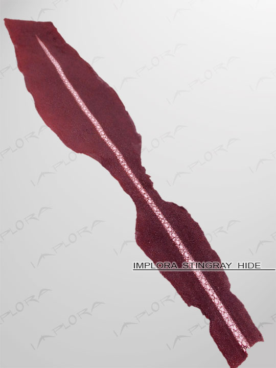 Leather Implora Burgundy Long Pearl Stingray Leather