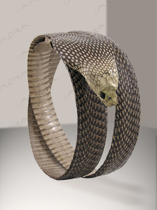 Cobra Snakeskin Belt Snake Head Taxidermy by Implora eBay