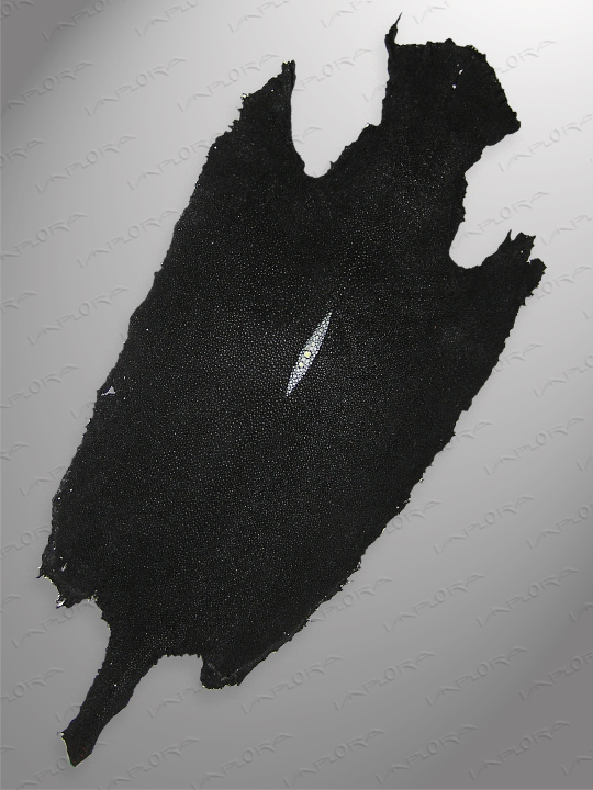 Free Shipping on Implora Black Stingray Leather