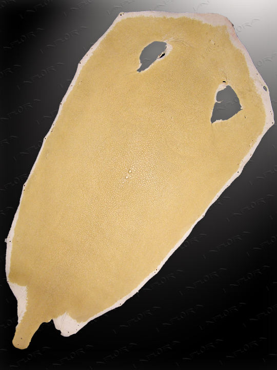 Free Shipping on Implora Bone Stingray Leather