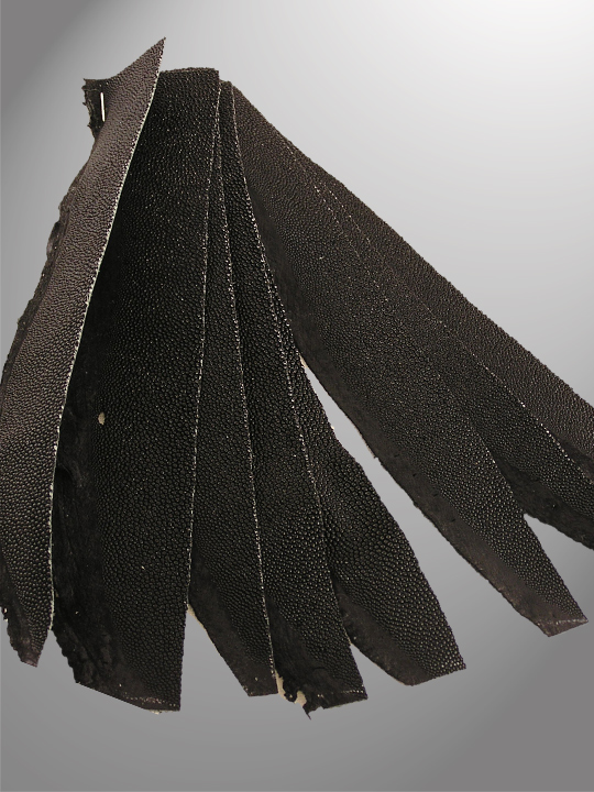 Free Shipping on Black Stingray Scraps (10pcs)