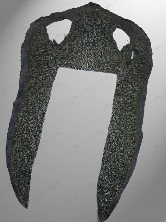 Free Shipping on Green Smooth Genuine Stingray Top Sides Scrap