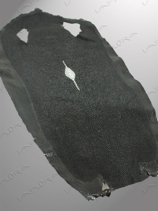 Free Shipping on Implora Black Stingray Leather Star Accent