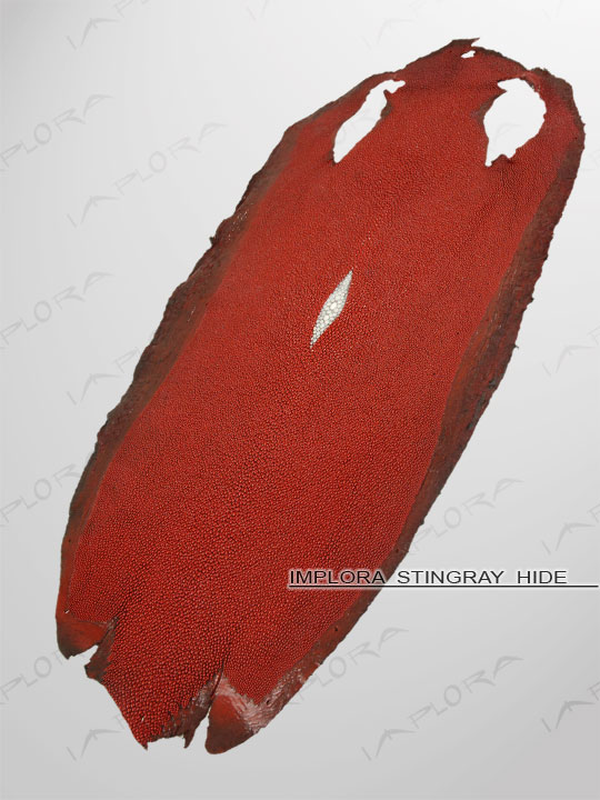 Free Shipping on Implora Red Stingray Leather