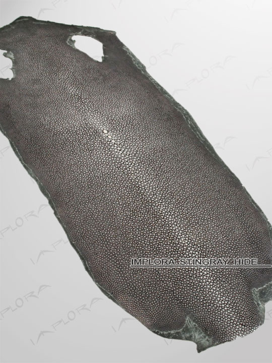 Free Shipping on Implora Sanded Green Stingray Leather