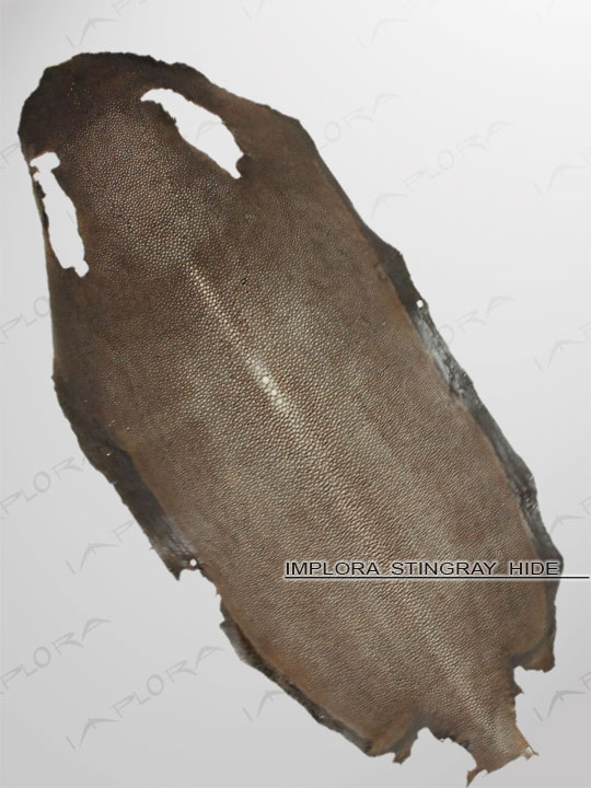 Free Shipping on Implora Sanded Brown Stingray Leather